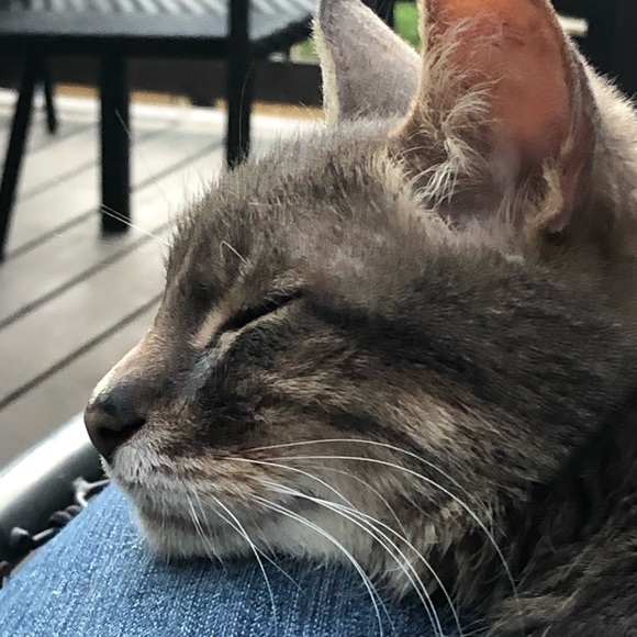 Meet your Posher, Treena - Picture 1 of 1